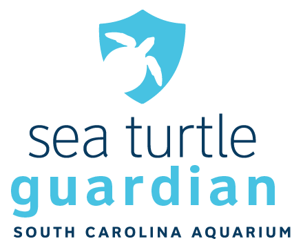 Bella Sea Turtle Necklace - Fundraiser For The Sea Turtle Rescue Center